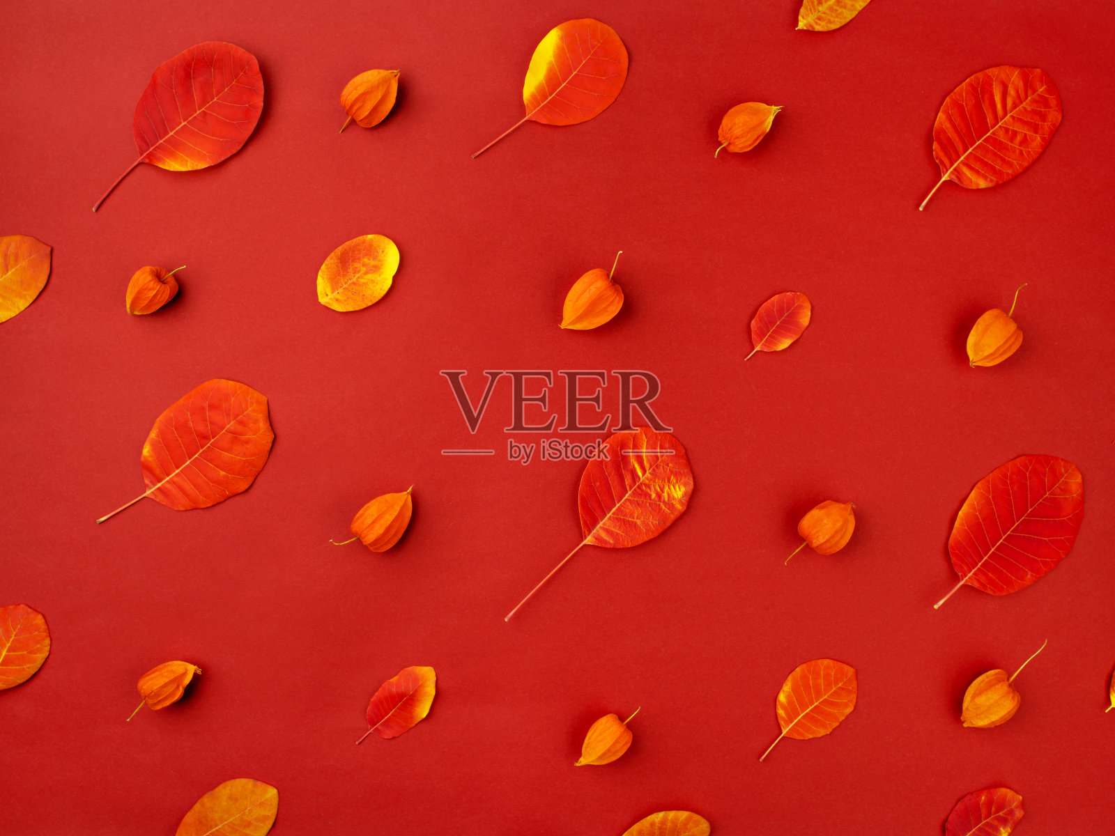 单色的秋天背景的落叶。照片摄影图片