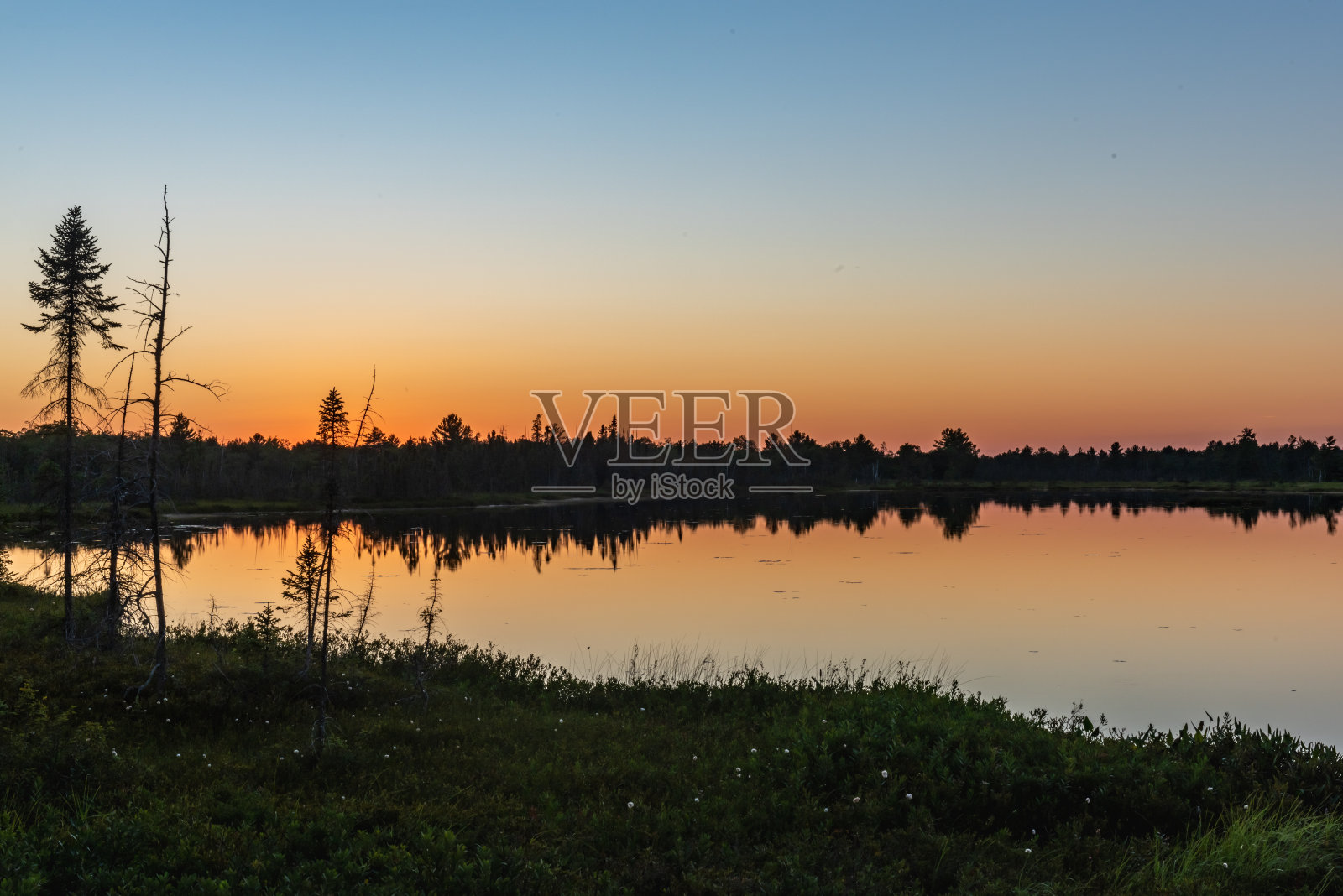 Muskoka Torrance Barrens暗天保护区和高地池塘,Gravenhurst,加拿大照片摄影图片