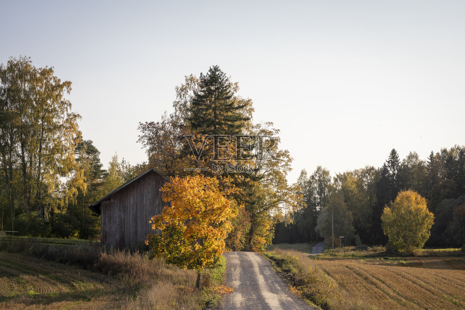 芬兰的秋天之路照片摄影图片