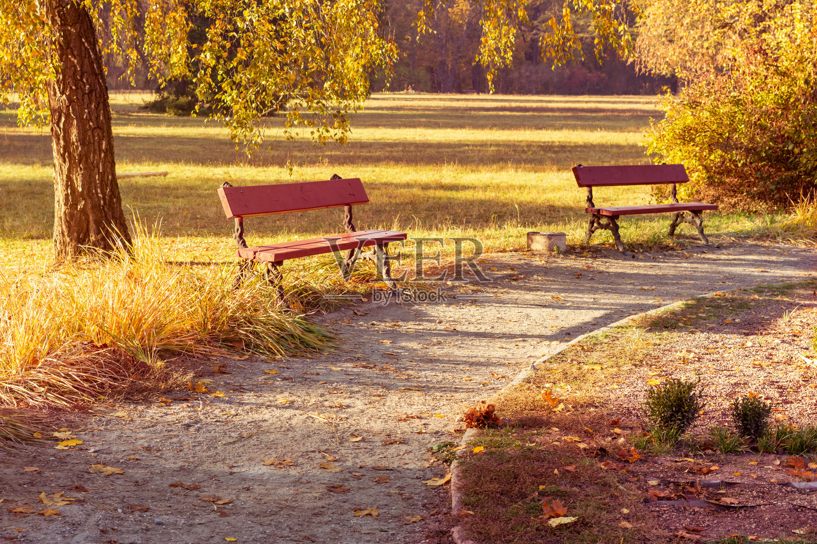 美丽的秋季城市公园里的空长椅照片摄影图片