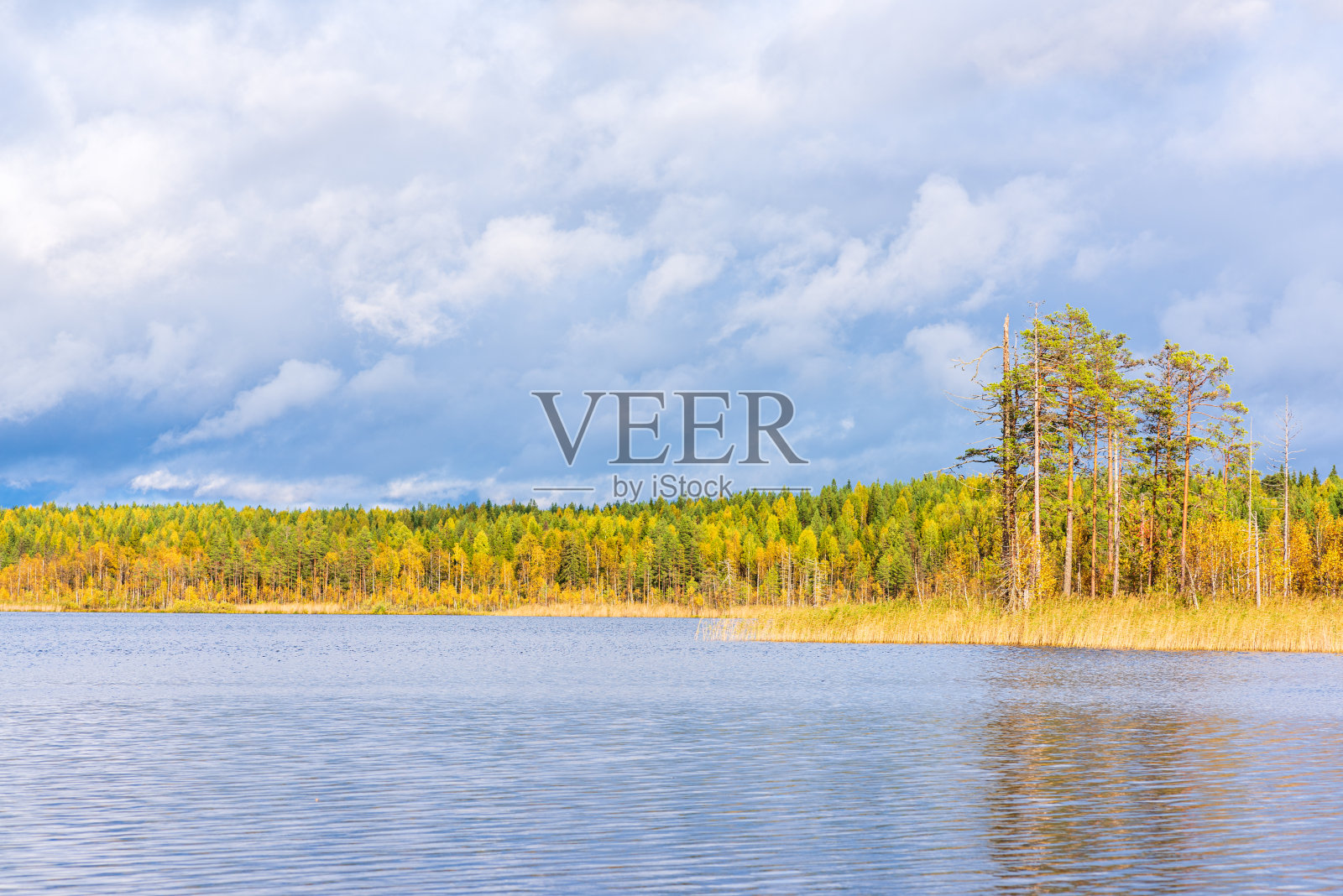 下雨前的湖水照片摄影图片