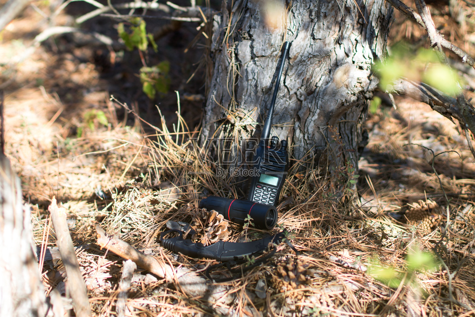 收音机,卡琅比特刀鞘和单片眼镜在松树下的森林照片摄影图片