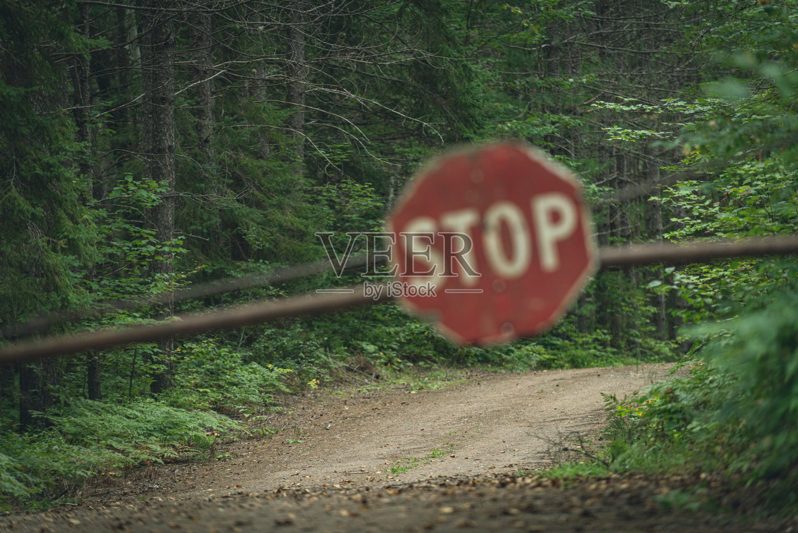 停止标志模糊不清照片摄影图片