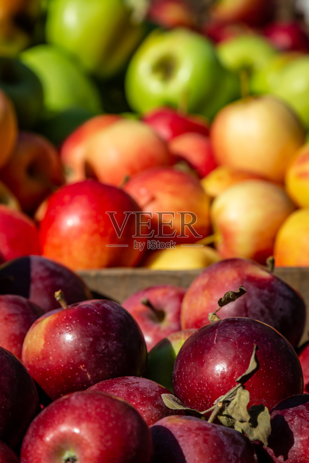 多吃苹果照片摄影图片