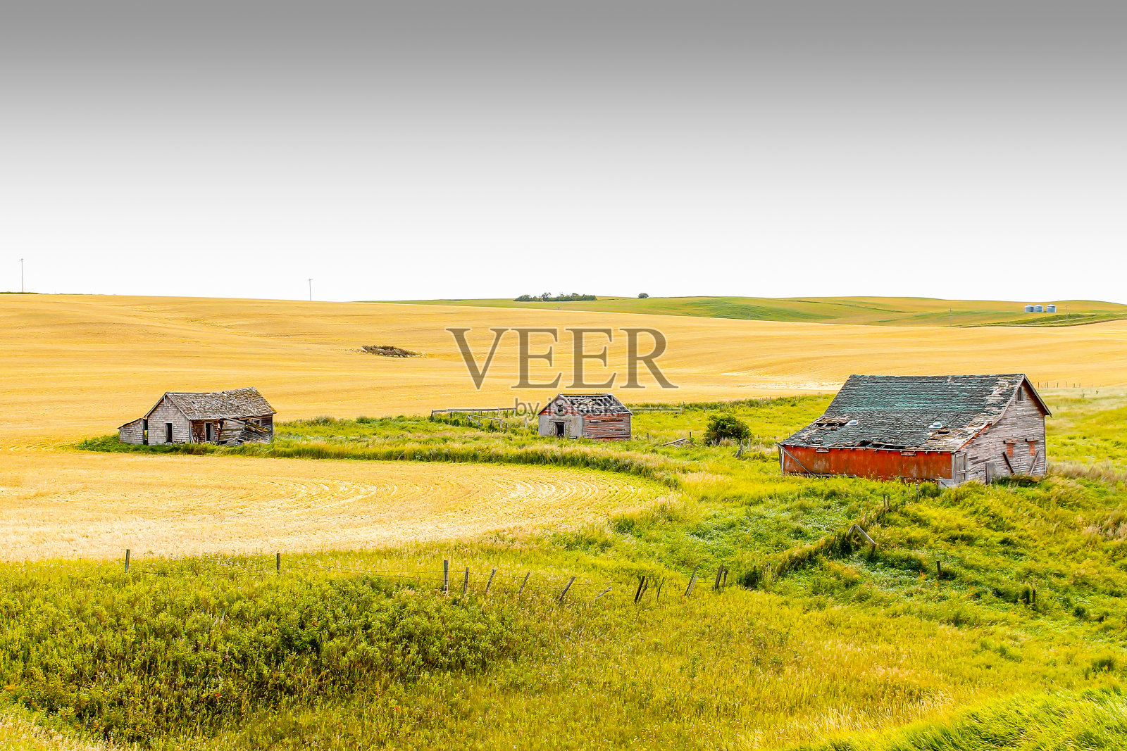 在田野里推倒农舍。加拿大阿尔伯塔省特罗楚县照片摄影图片