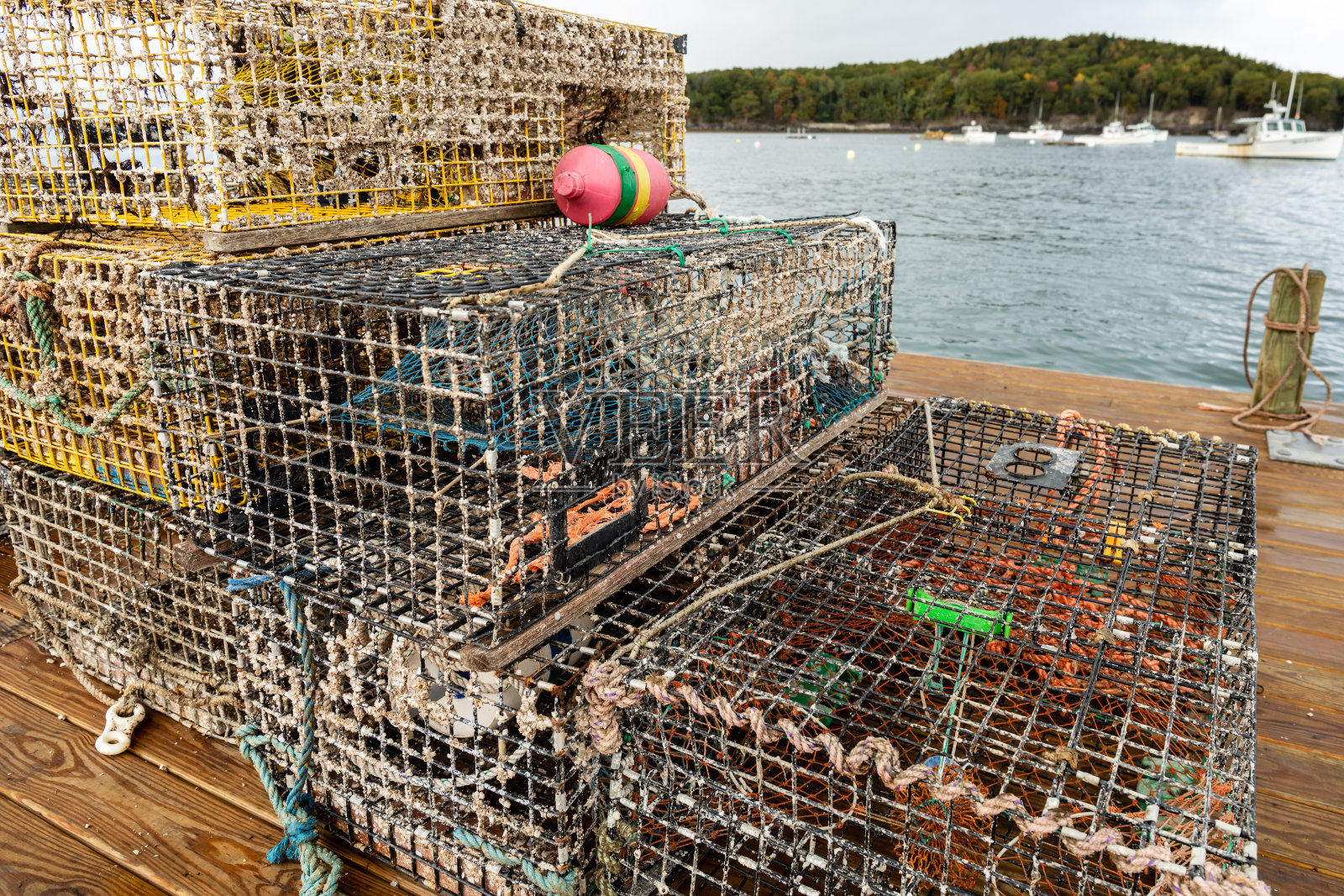 缅因州巴尔港的一个浮动码头上的龙虾陷阱照片摄影图片