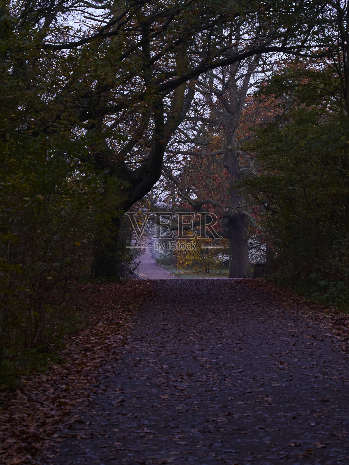来自汉普斯特7细节照片摄影图片
