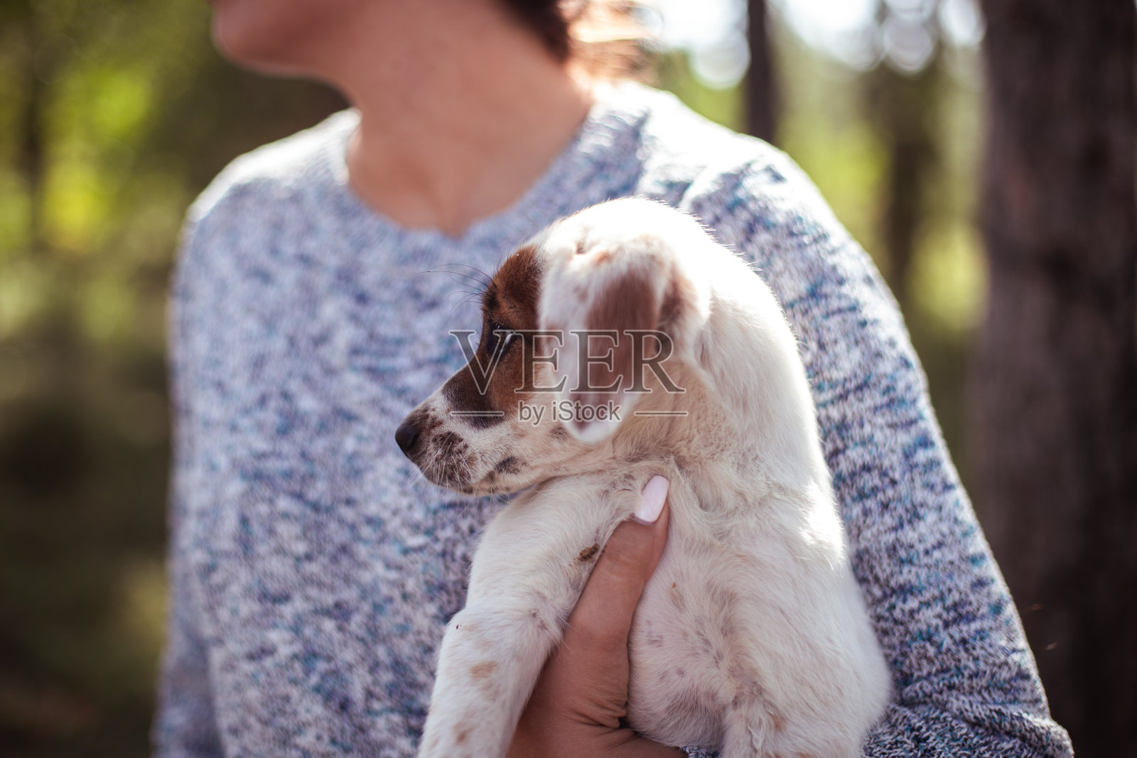 最大程度的忠诚照片摄影图片