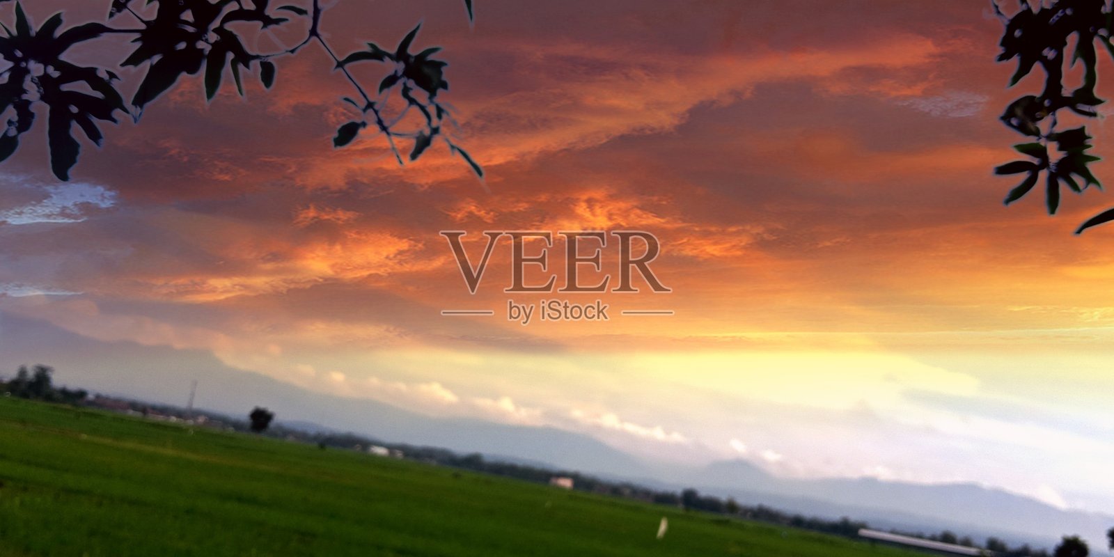 山水、山水、水田照片摄影图片