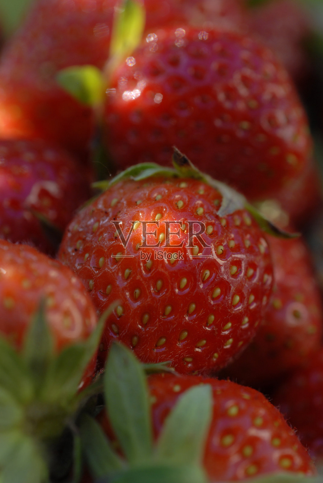 草莓照片摄影图片