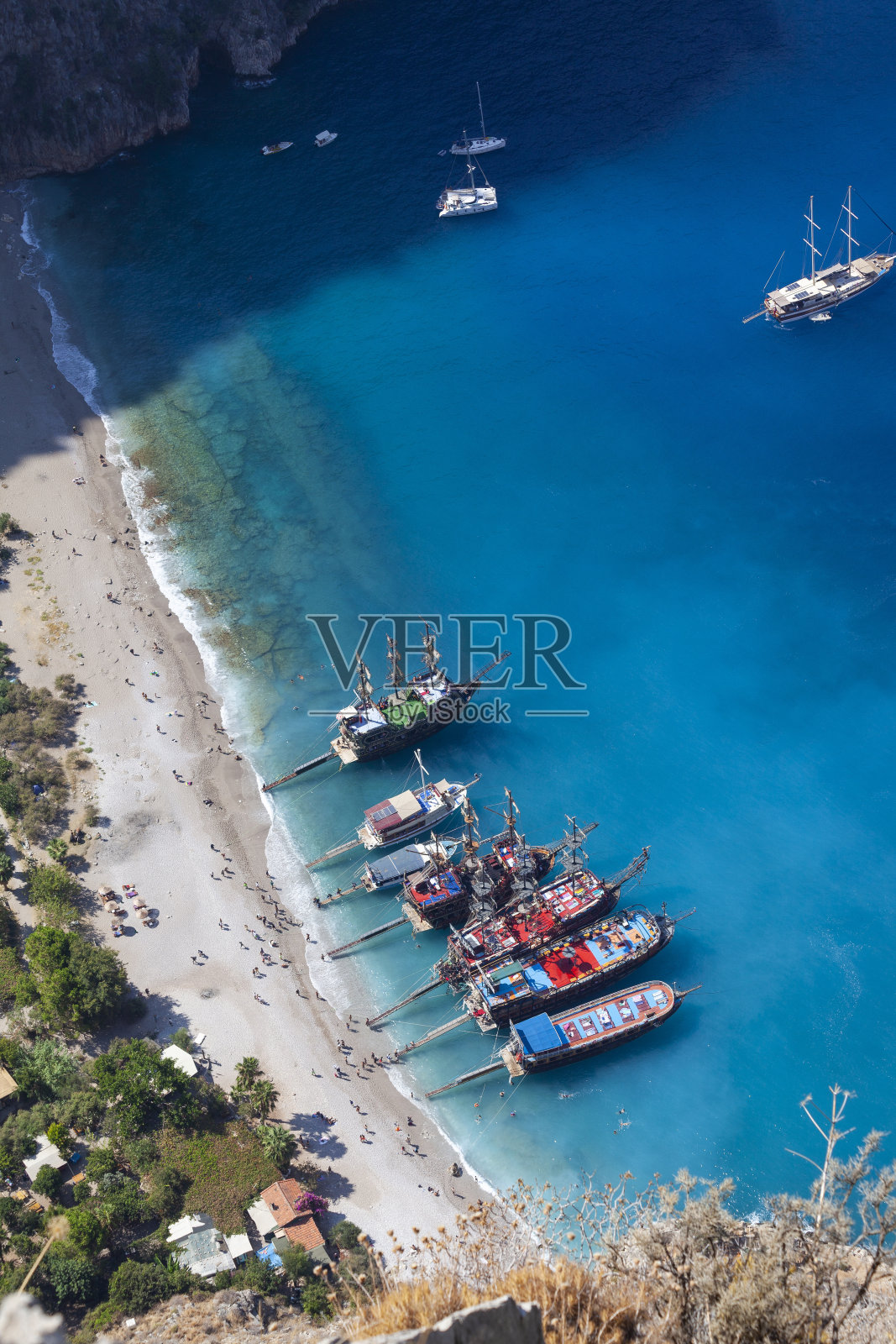 蝴蝶谷火鸡照片摄影图片