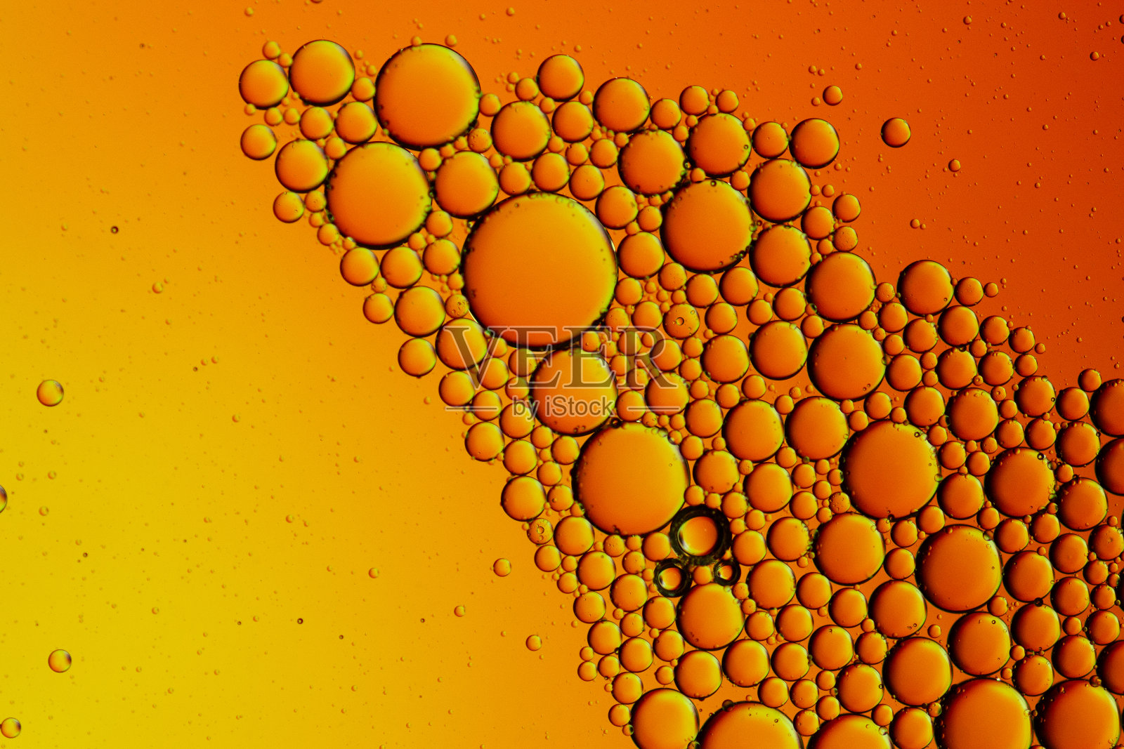 美丽的泡泡和抽象的油滴。照片摄影图片