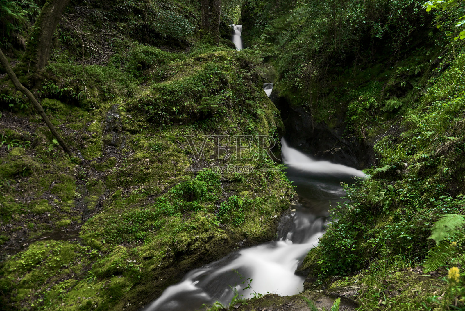 美丽的小瀑布在魔法森林照片摄影图片