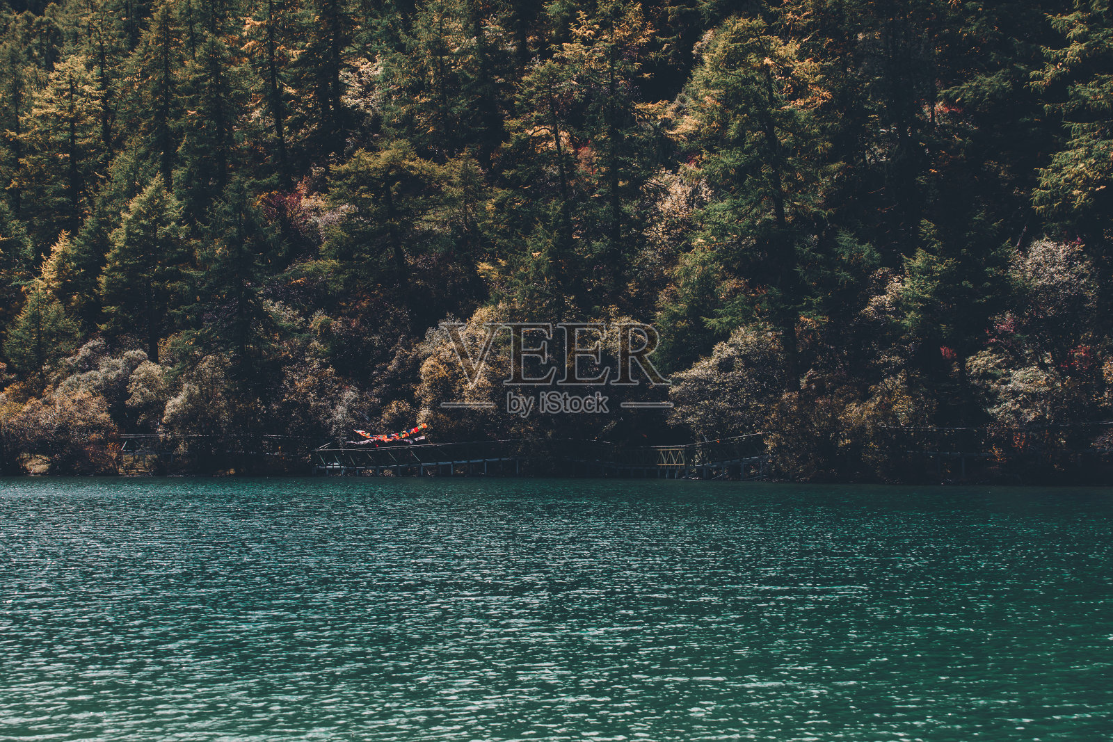 亚丁自然保护区秋林雪山五彩缤纷照片摄影图片