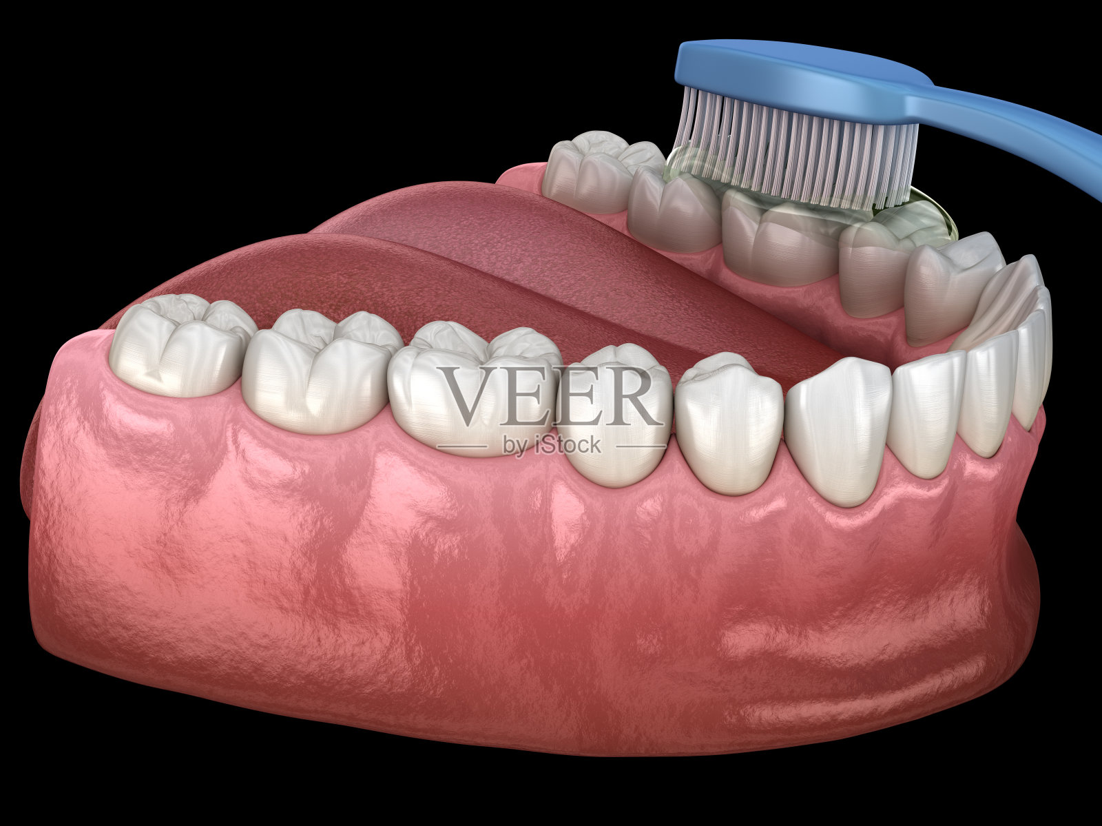 牙刷清洁牙齿。口腔卫生的医学精确3D插图。照片摄影图片