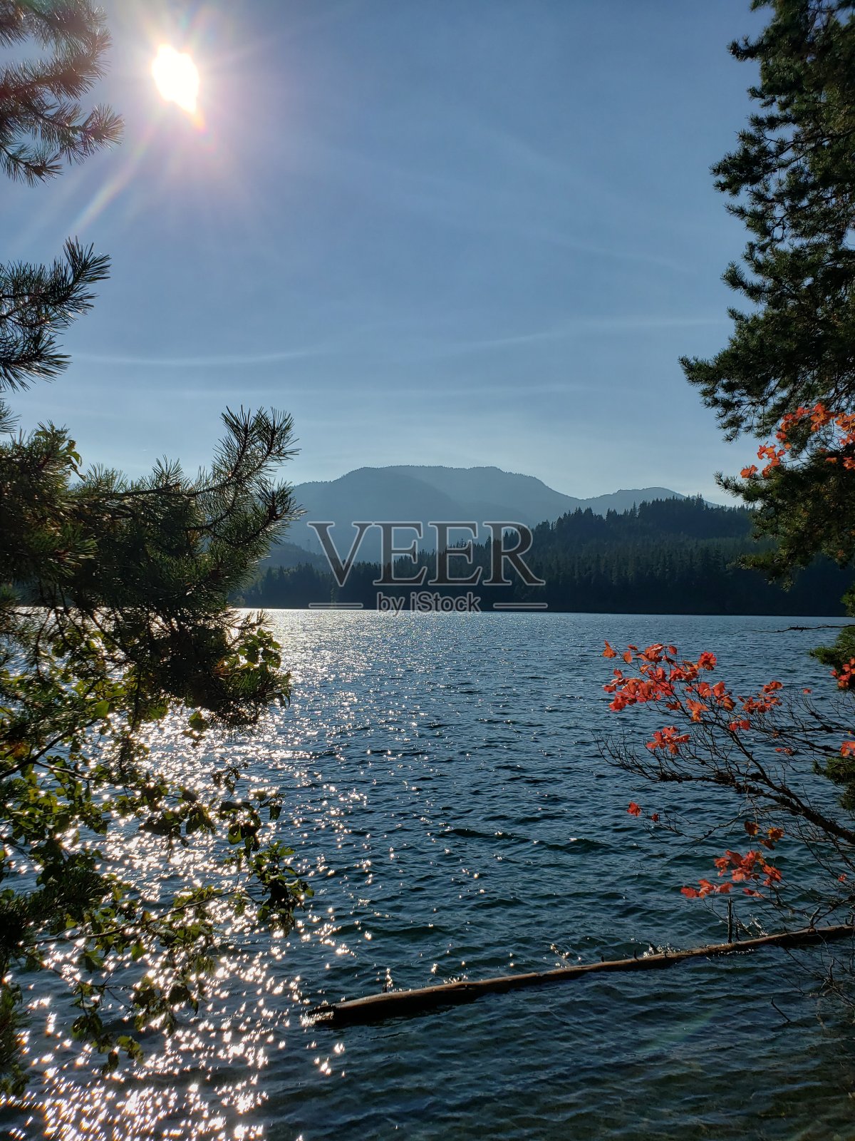 伊斯顿湖,华盛顿照片摄影图片