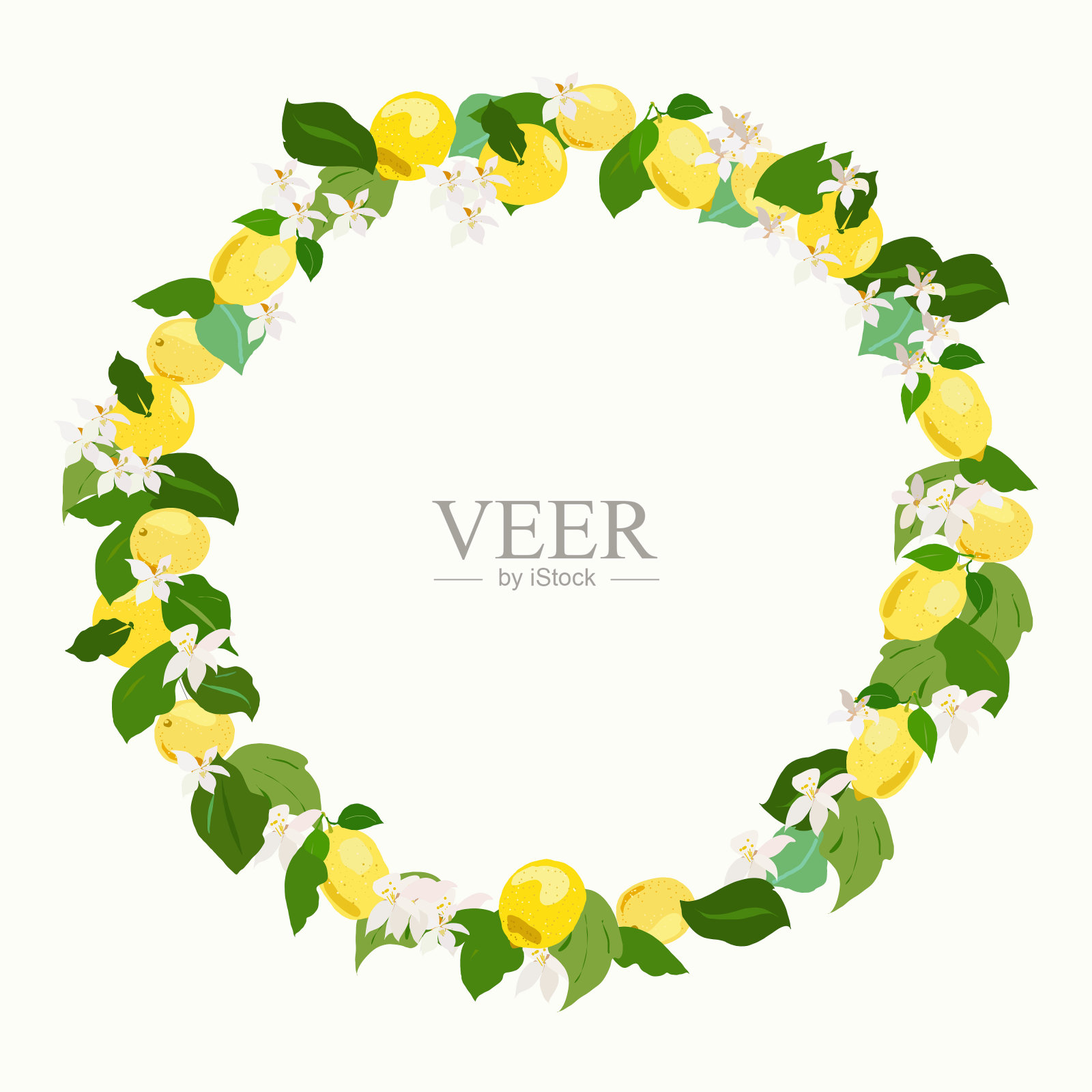 用水果和柠檬叶做成的花环插画图片素材