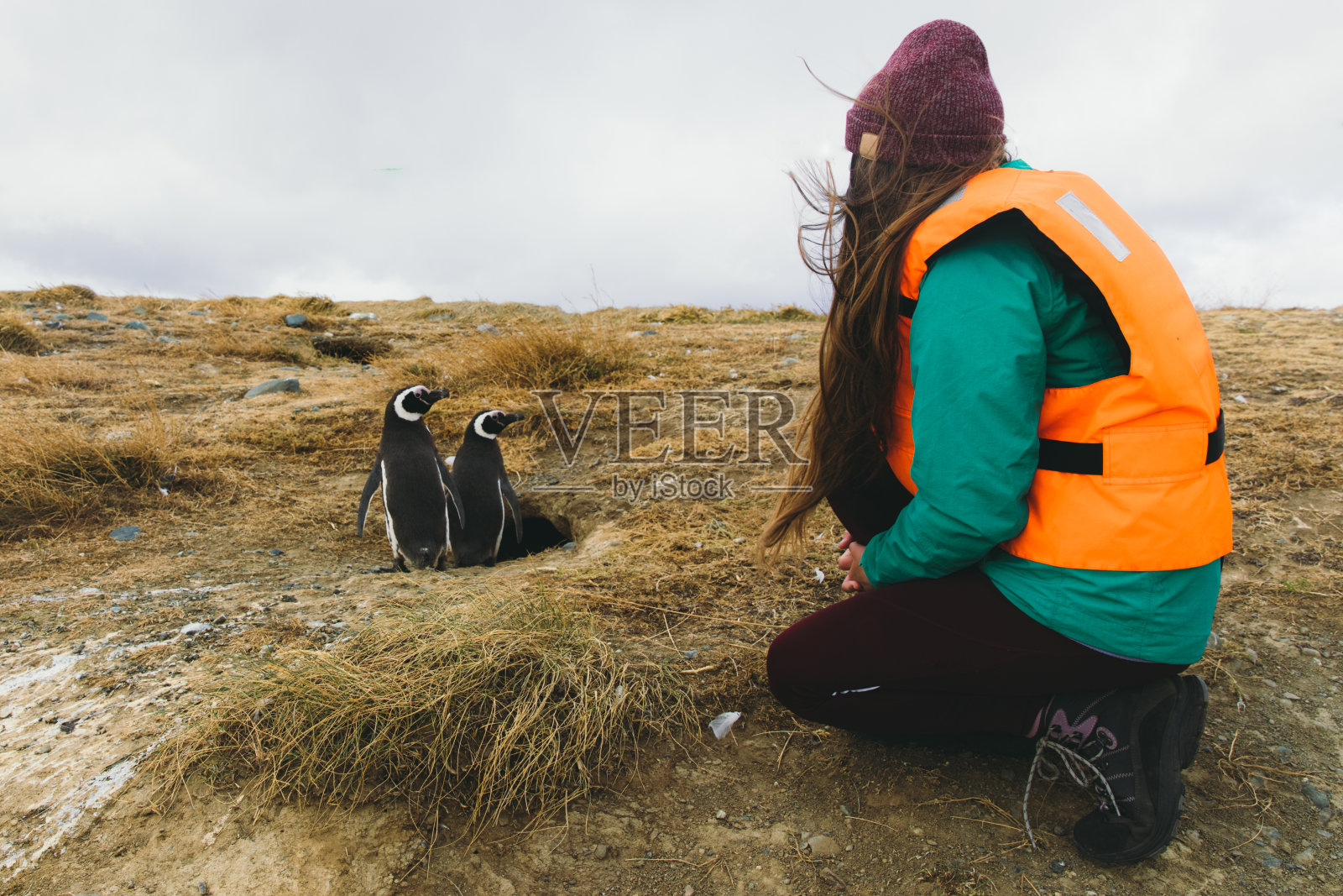 在智利巴塔哥尼亚探险期间,年轻女子与企鹅探索岛屿照片摄影图片