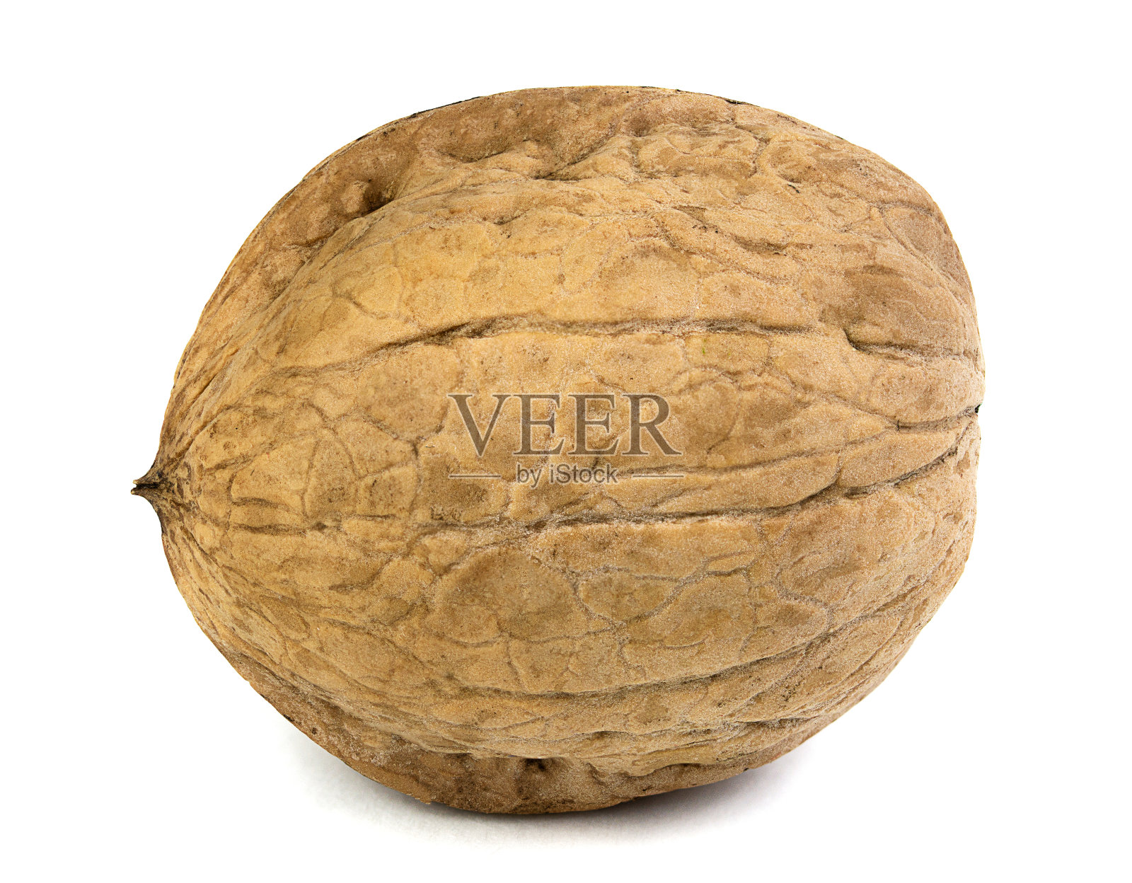 白色背景上的核桃特写照片摄影图片