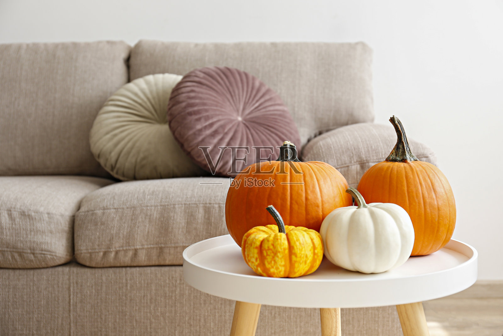 室内有不同的南瓜照片摄影图片