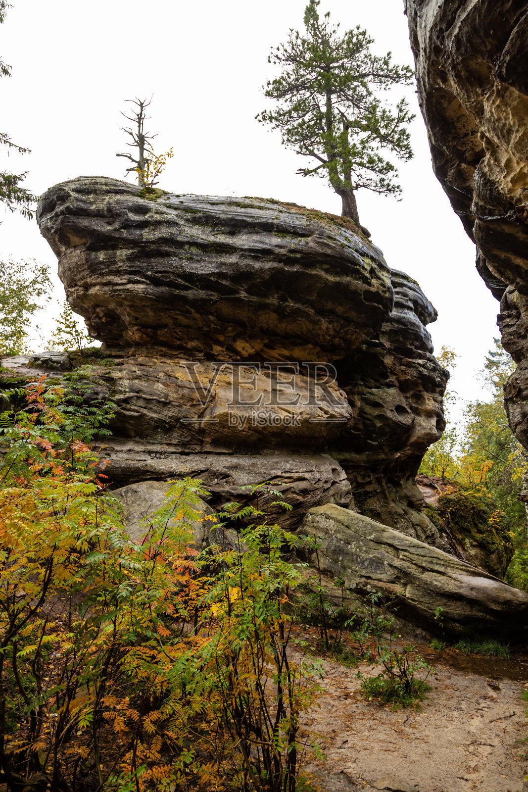 石城在森林中长满苔藓的鲁西大自然中。Usva,乌拉尔。照片摄影图片