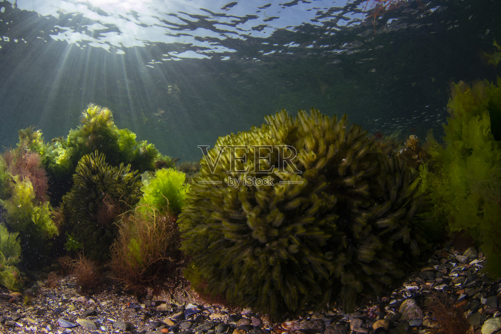 悬崖上宽阔的水下视野照片摄影图片
