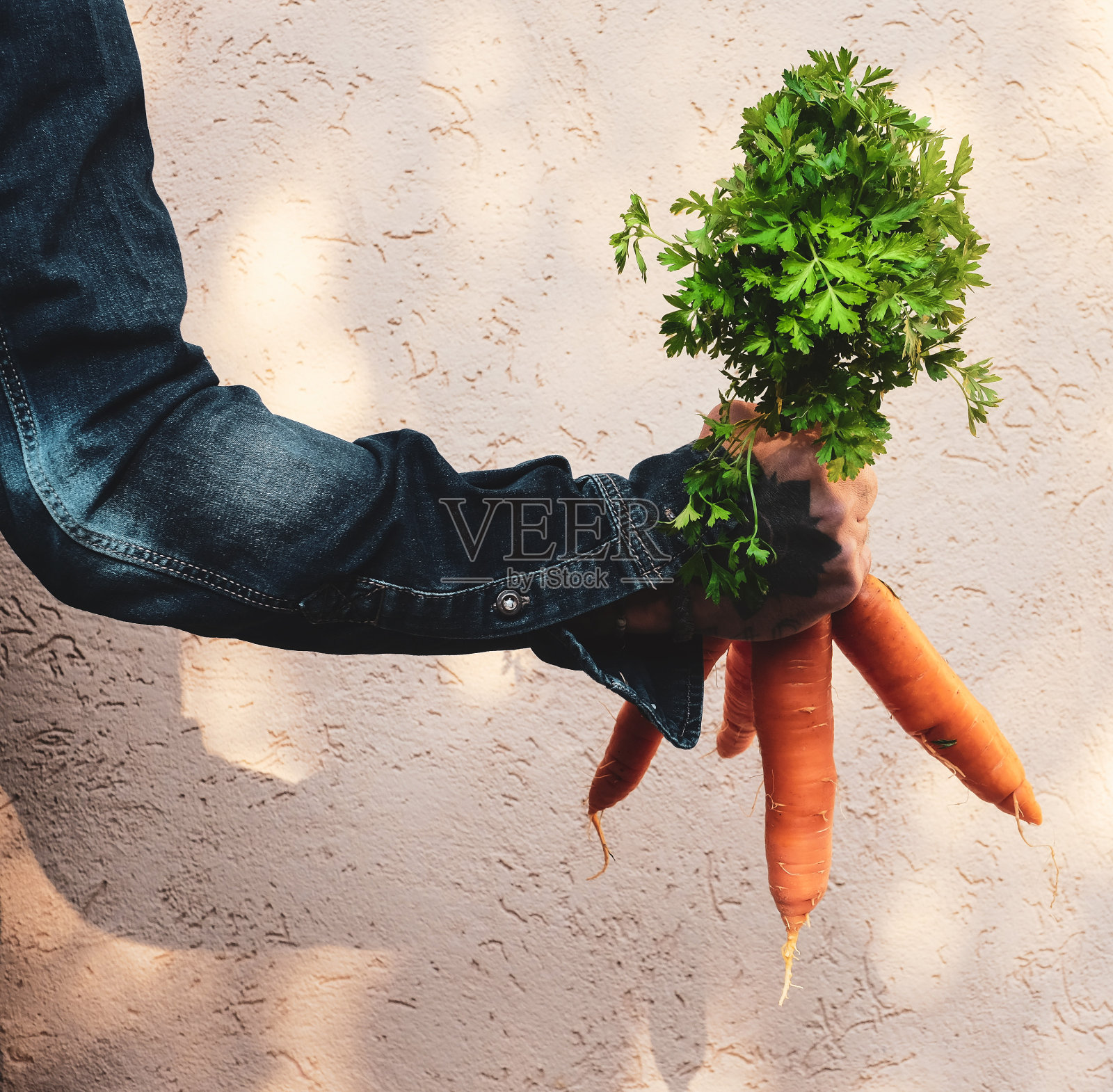 男人手里拿着一堆有机胡萝卜照片摄影图片