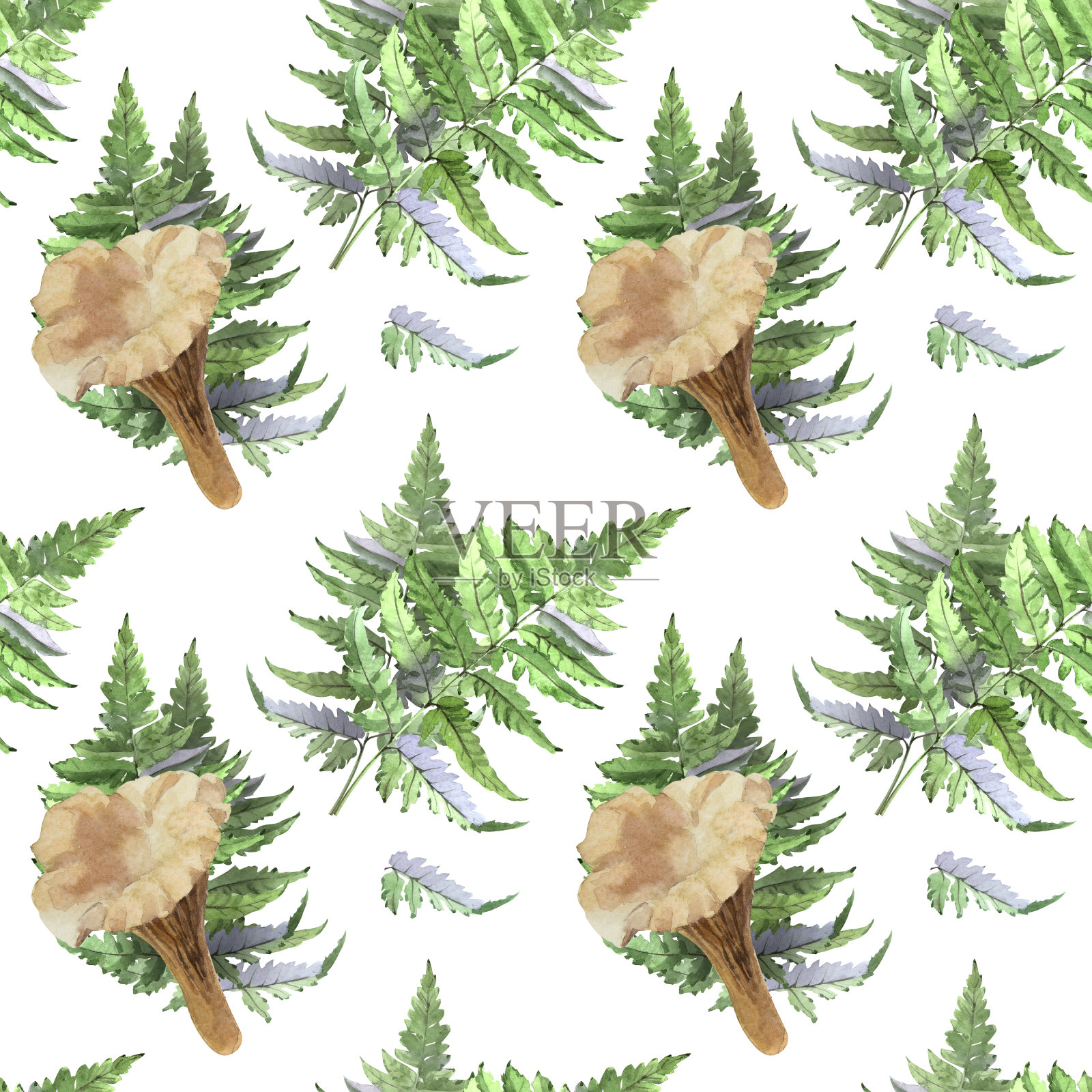 水彩蘑菇和蕨叶无缝图案。森林的主题。插画图片素材