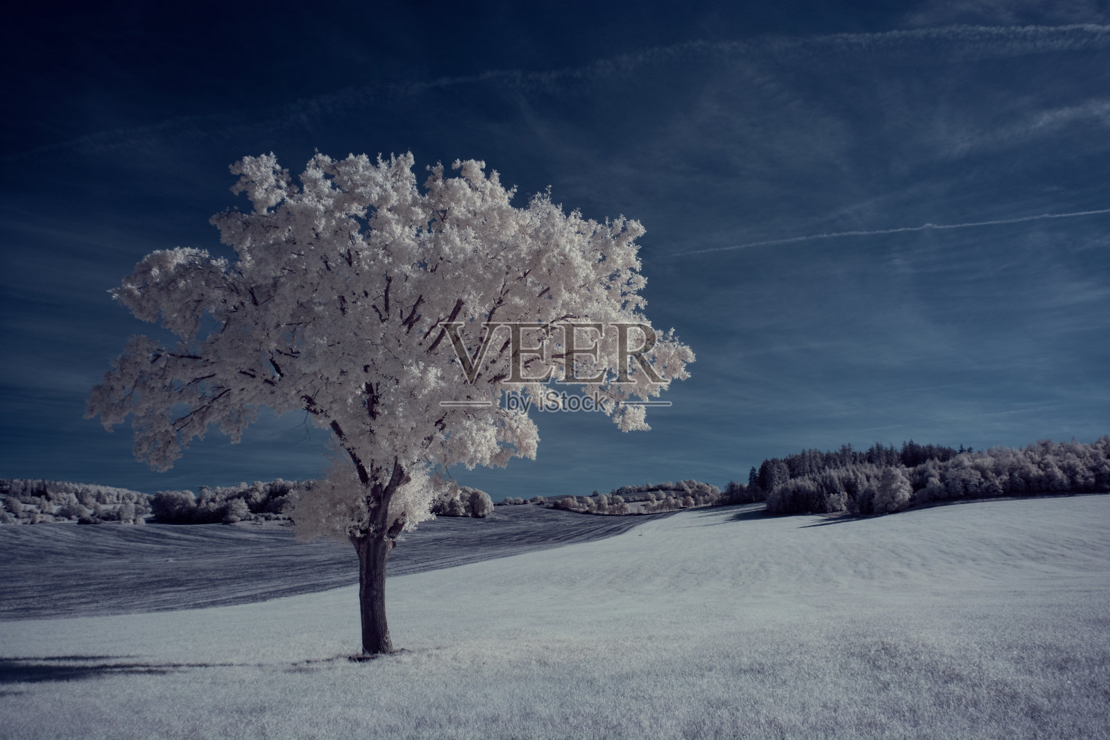 红外摄影-红外照片下的景观天空与云照片摄影图片