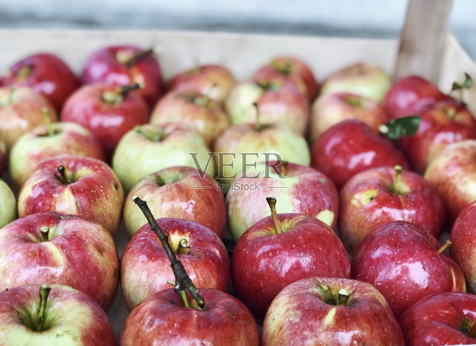 红苹果收获近照片摄影图片