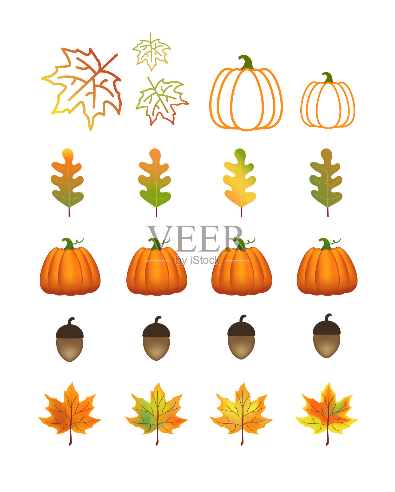 秋天的设置。装饰秋叶、浆果、橡子。鲜艳的绿色插画图片素材