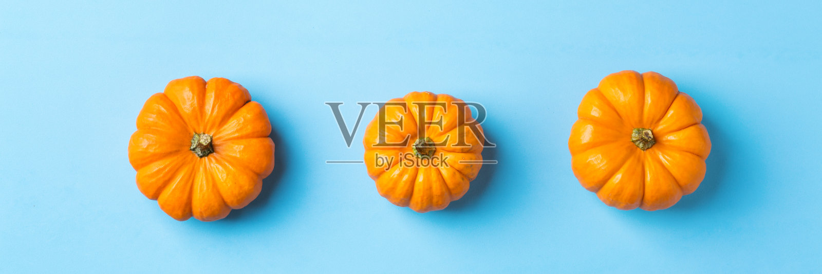 秋天秋天的感恩节作文装饰橙色南瓜照片摄影图片