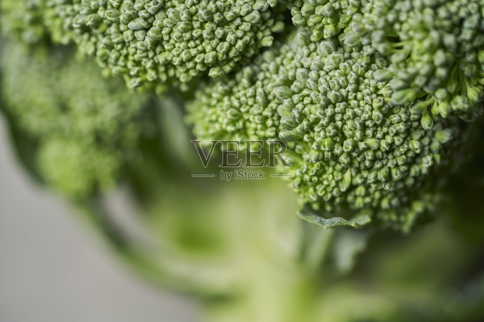 近距离拍摄生西兰花照片摄影图片