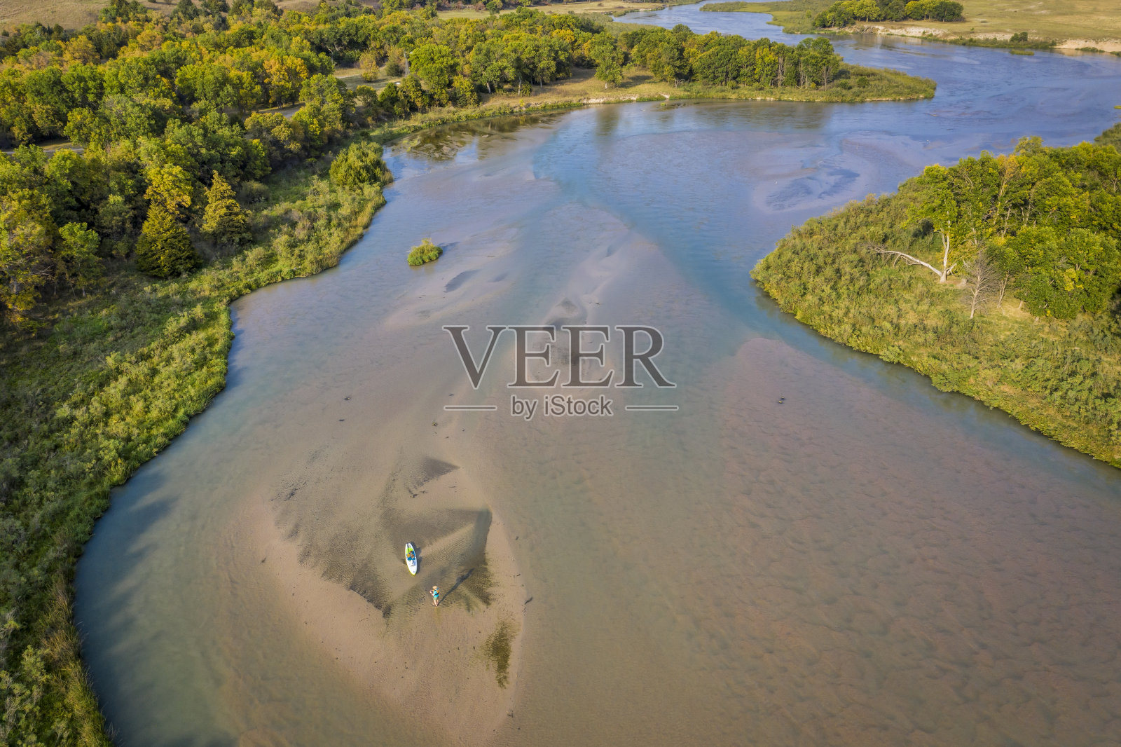 和斗牛犬一起划着站立板照片摄影图片