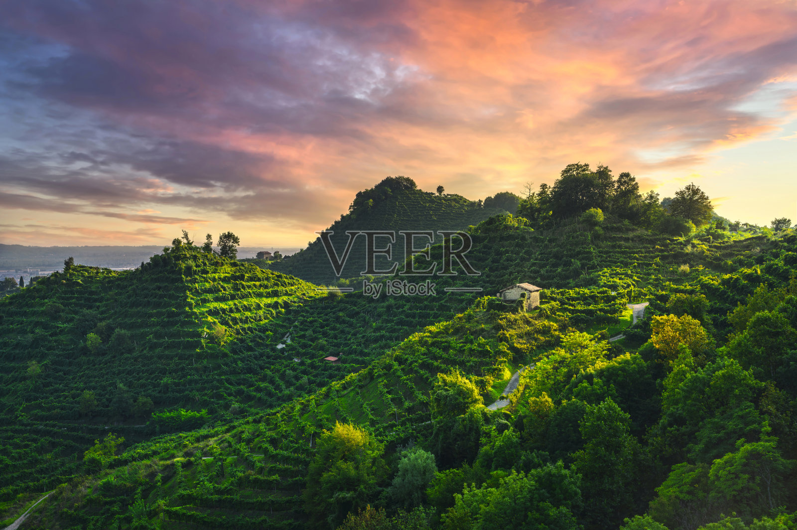 普洛赛克山,葡萄园和圣洛伦佐教堂。联合国教科文组织网站。意大利威尼托照片摄影图片