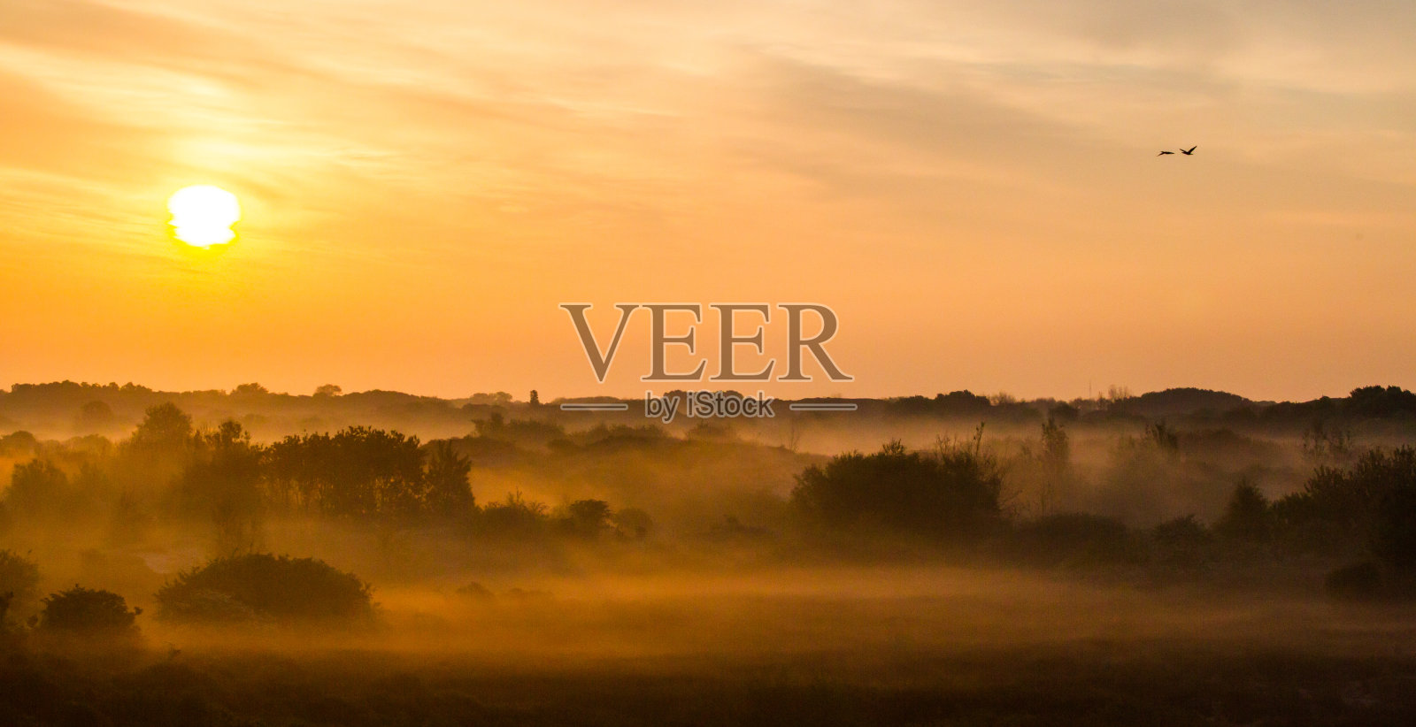 景观Berkheide沙丘Katwijk,荷兰照片摄影图片