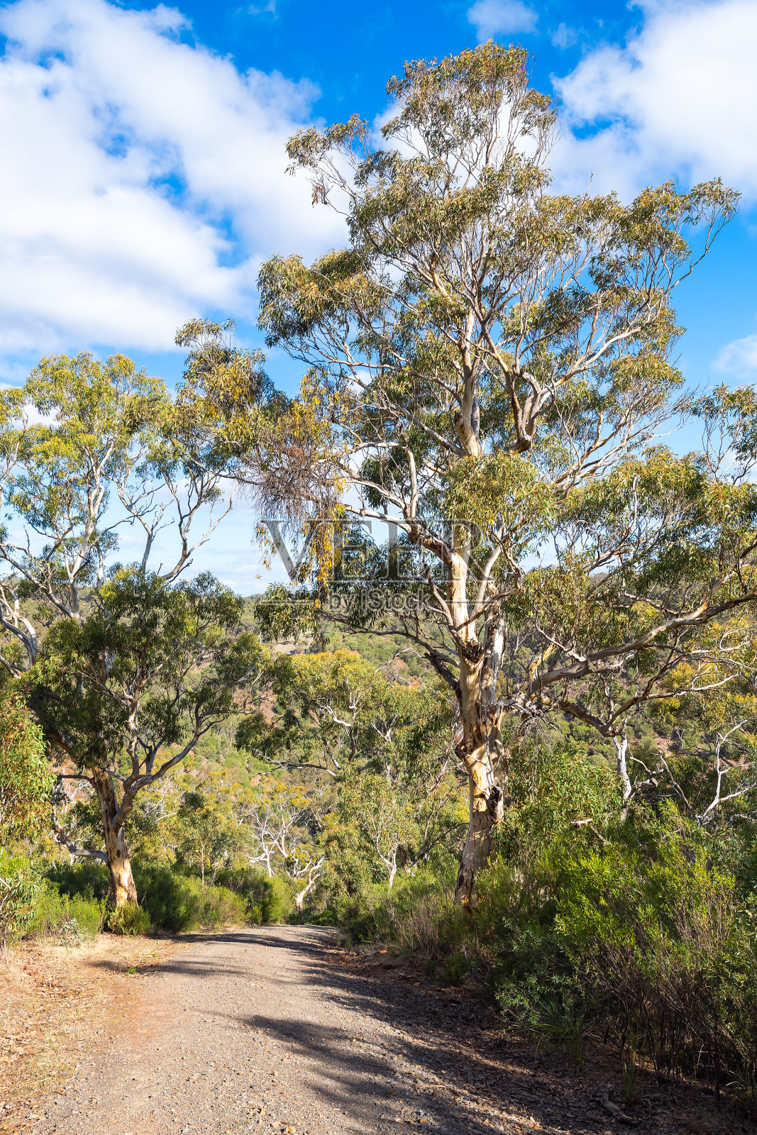 Onkaparinga河国家公园步道视图照片摄影图片