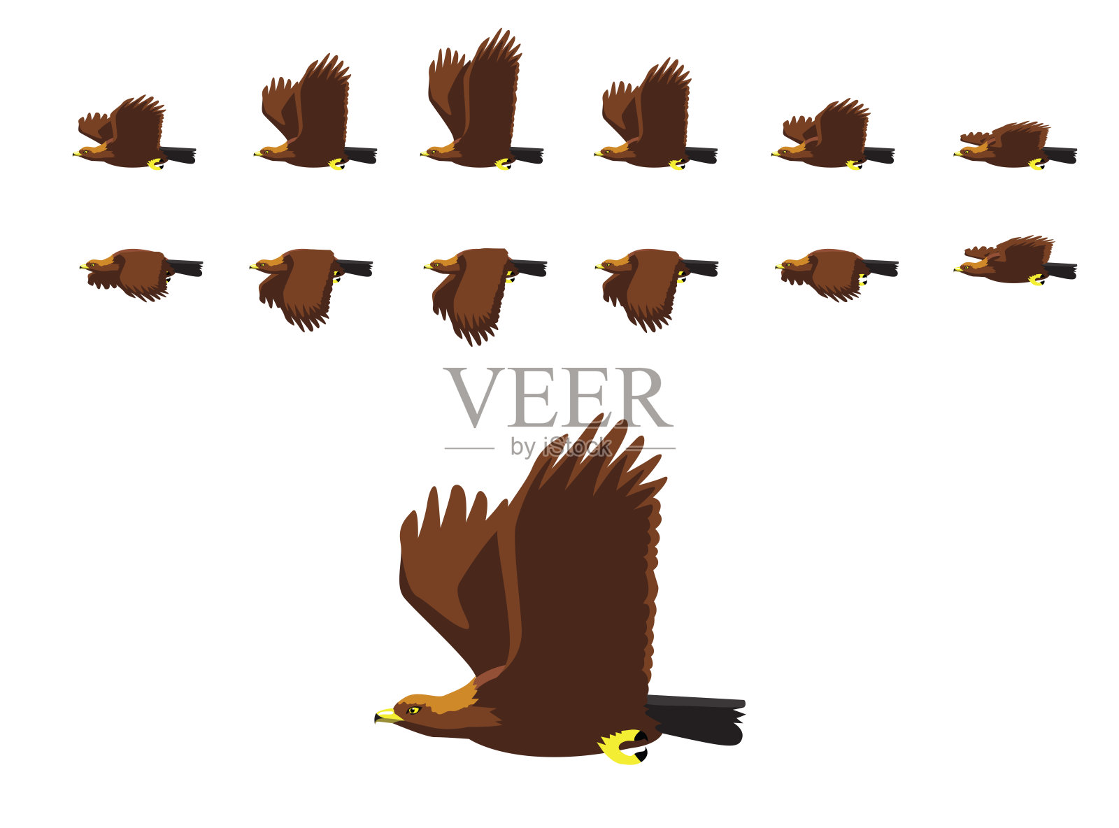 动物动画序列金鹰飞行卡通向量设计元素图片