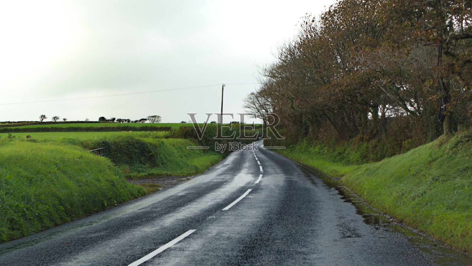 雨后的乡间小路照片摄影图片
