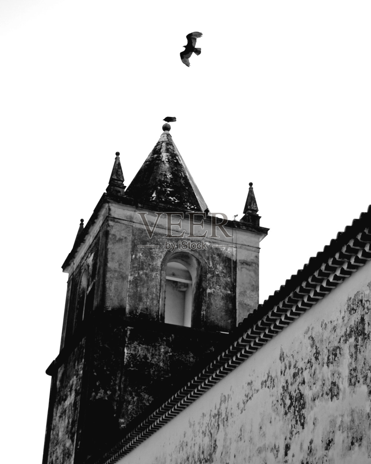 “黑鸟”飞过奥林达的See大教堂。照片摄影图片