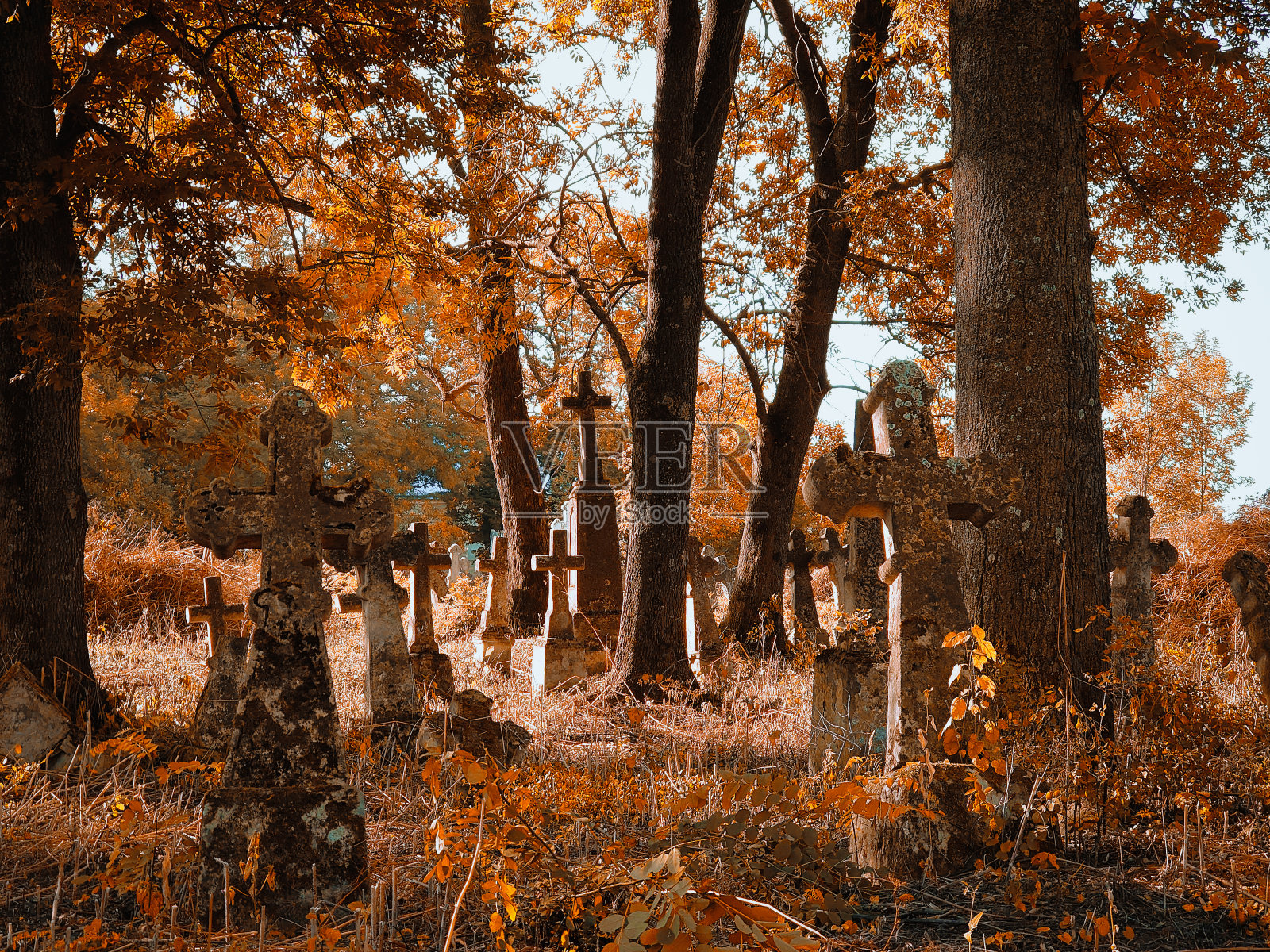 在一个晴朗的秋日里,有十字架的废弃墓地照片摄影图片