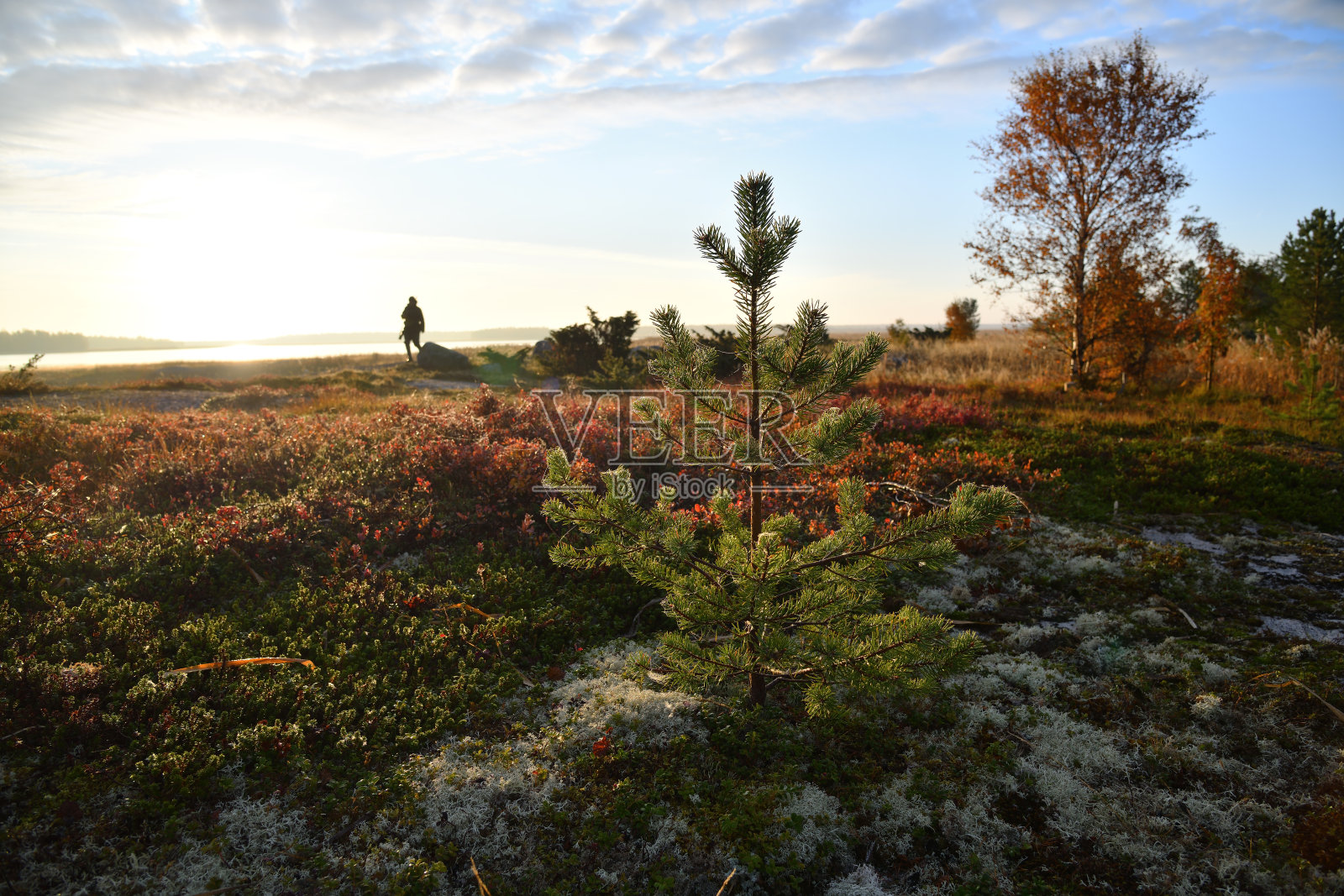 俄罗斯卡累利阿白海上的日出照片摄影图片