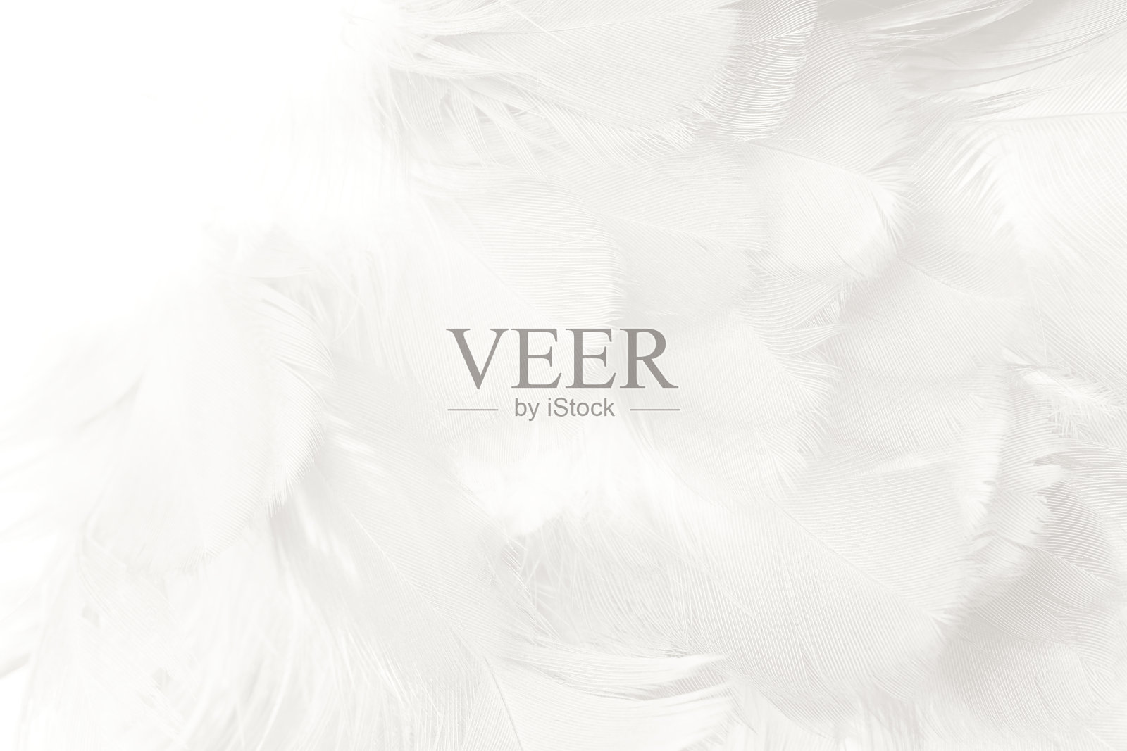 白色羽毛纹理背景,自由空间添加文字或婴儿用品等照片摄影图片