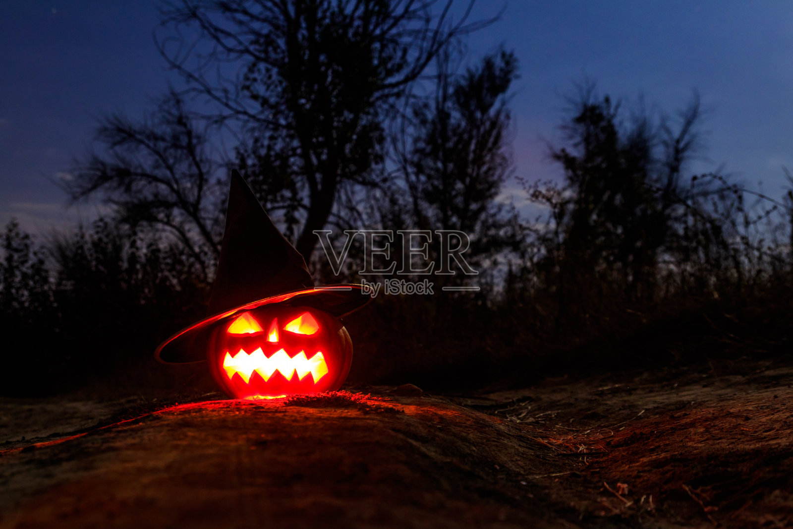 可怕的万圣节南瓜南瓜灯在巫婆的帽子和燃烧的蜡烛在可怕的森林晚上照片摄影图片