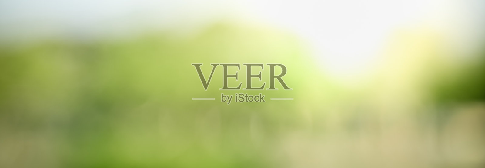 抽象模糊出焦点,在阳光下模糊绿叶背景,以散景和复制空间作为背景的自然植物景观,生态墙纸和封面概念。照片摄影图片