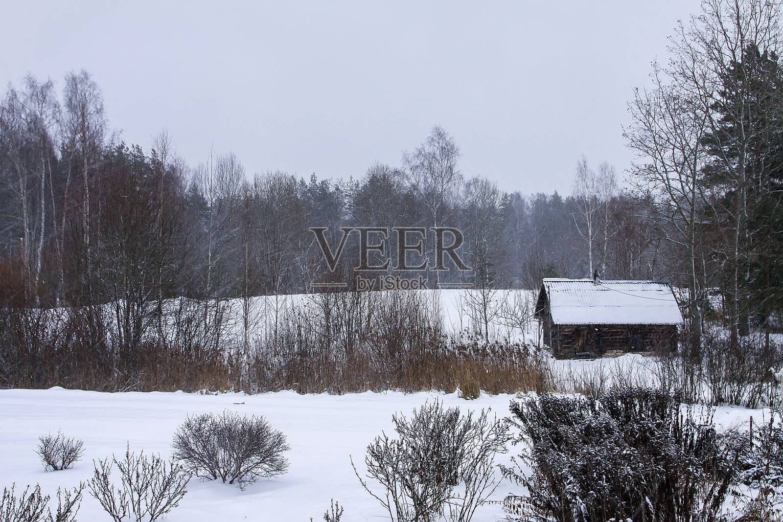 美丽的冬季景观与树在雪和古老的木制澡堂在农村。照片摄影图片