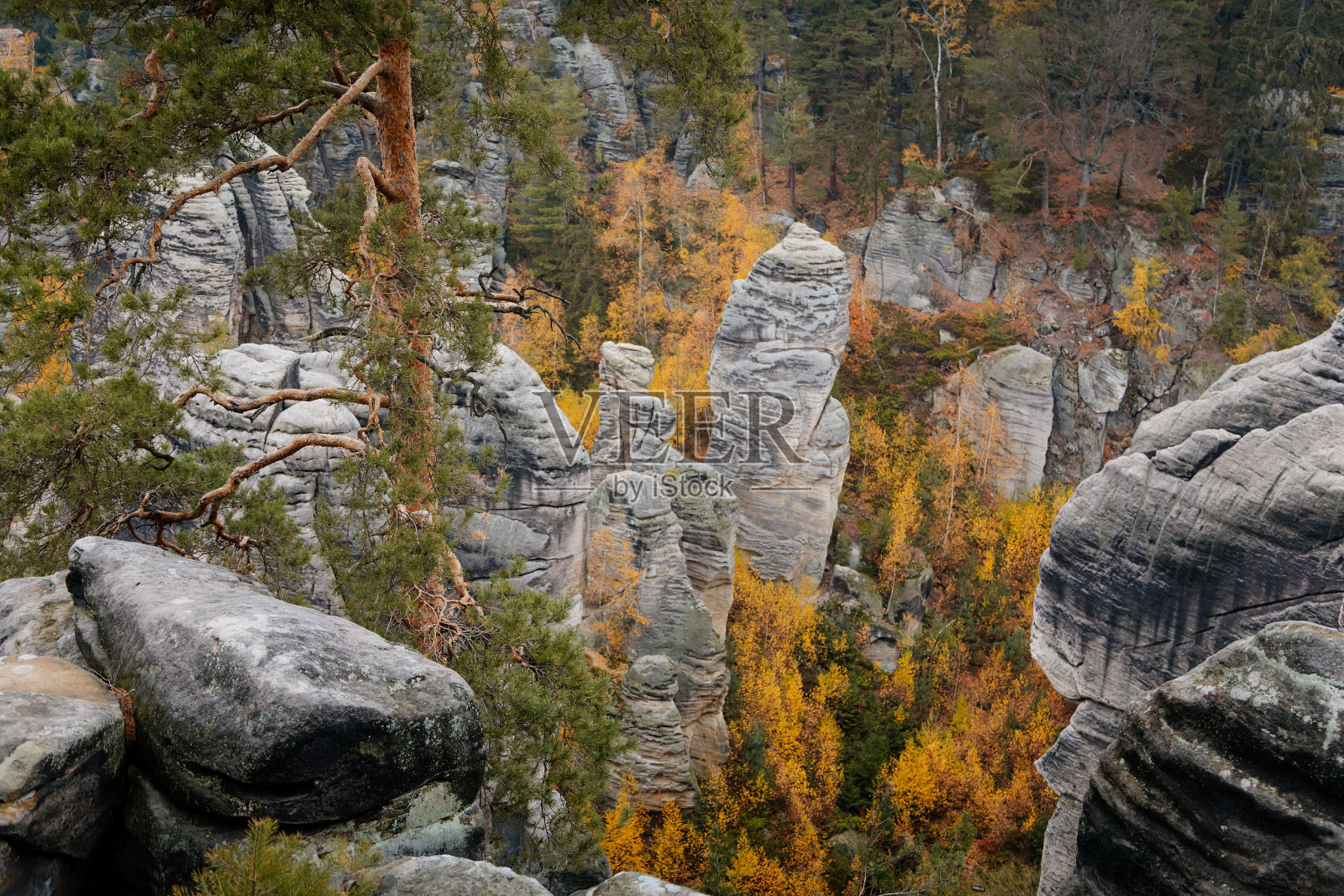 捷克共和国波西米亚天堂地区的普雷科夫斯卡利砂岩悬崖照片摄影图片