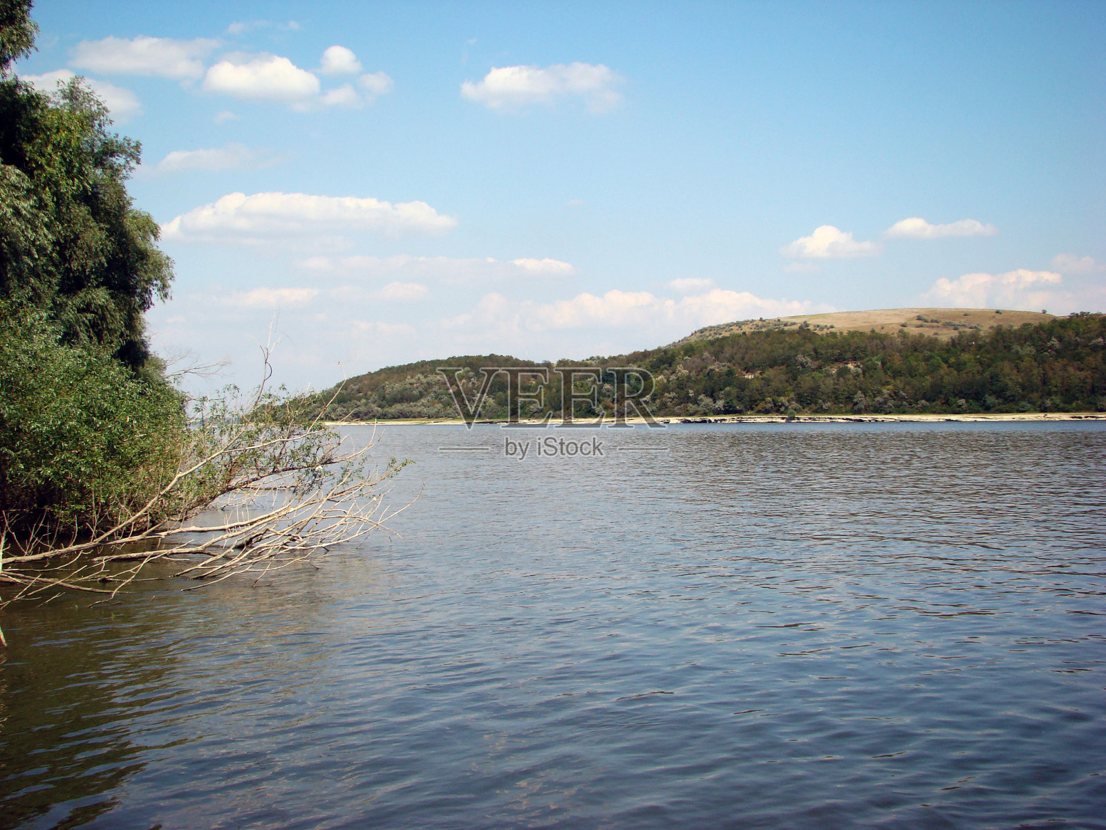 夏日里穿过多瑙河的森林照片摄影图片