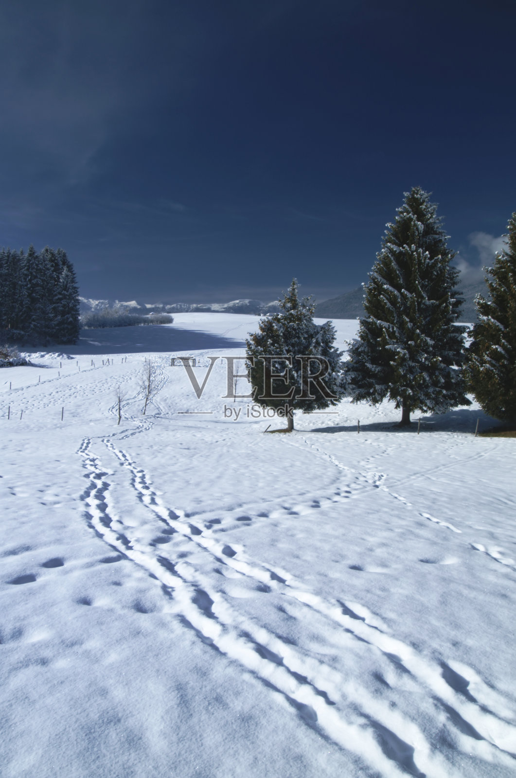 意大利维琴察,阿齐亚戈高原山上的雪照片摄影图片
