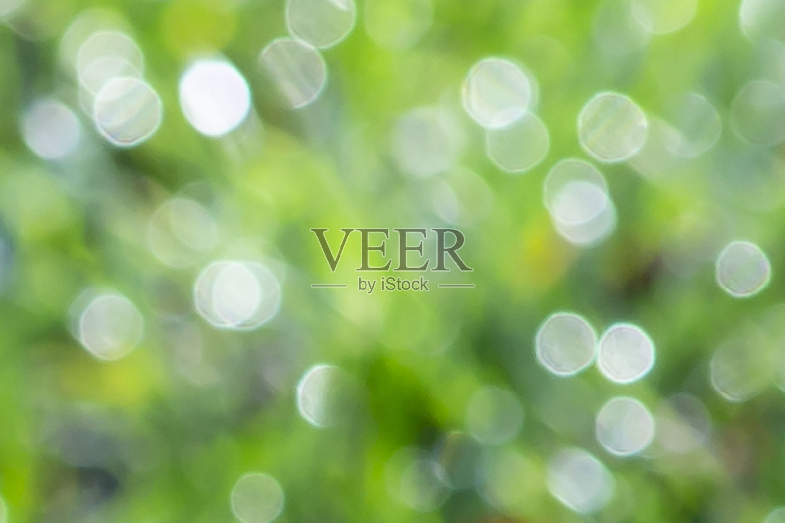 绿色和银色的散谷照片摄影图片